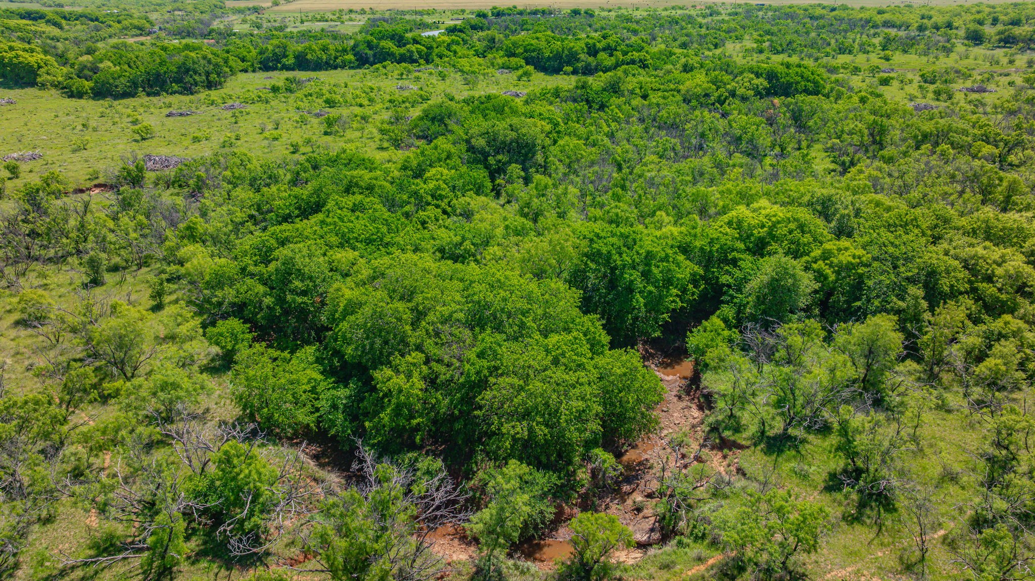 0000 Troy Davis Road Olney TX 76374