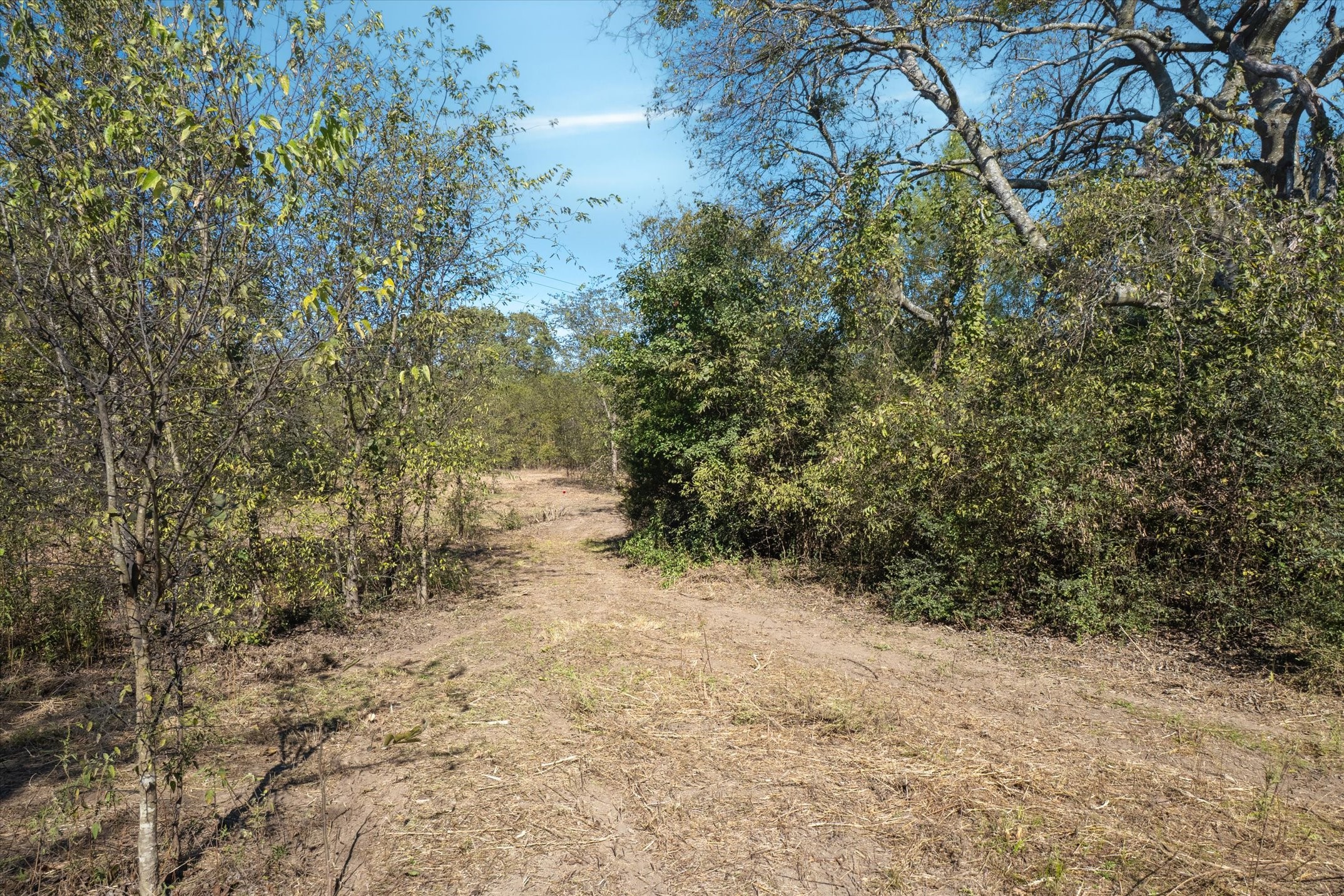 2805 Vz County Road 3507 Wills Point TX 75169