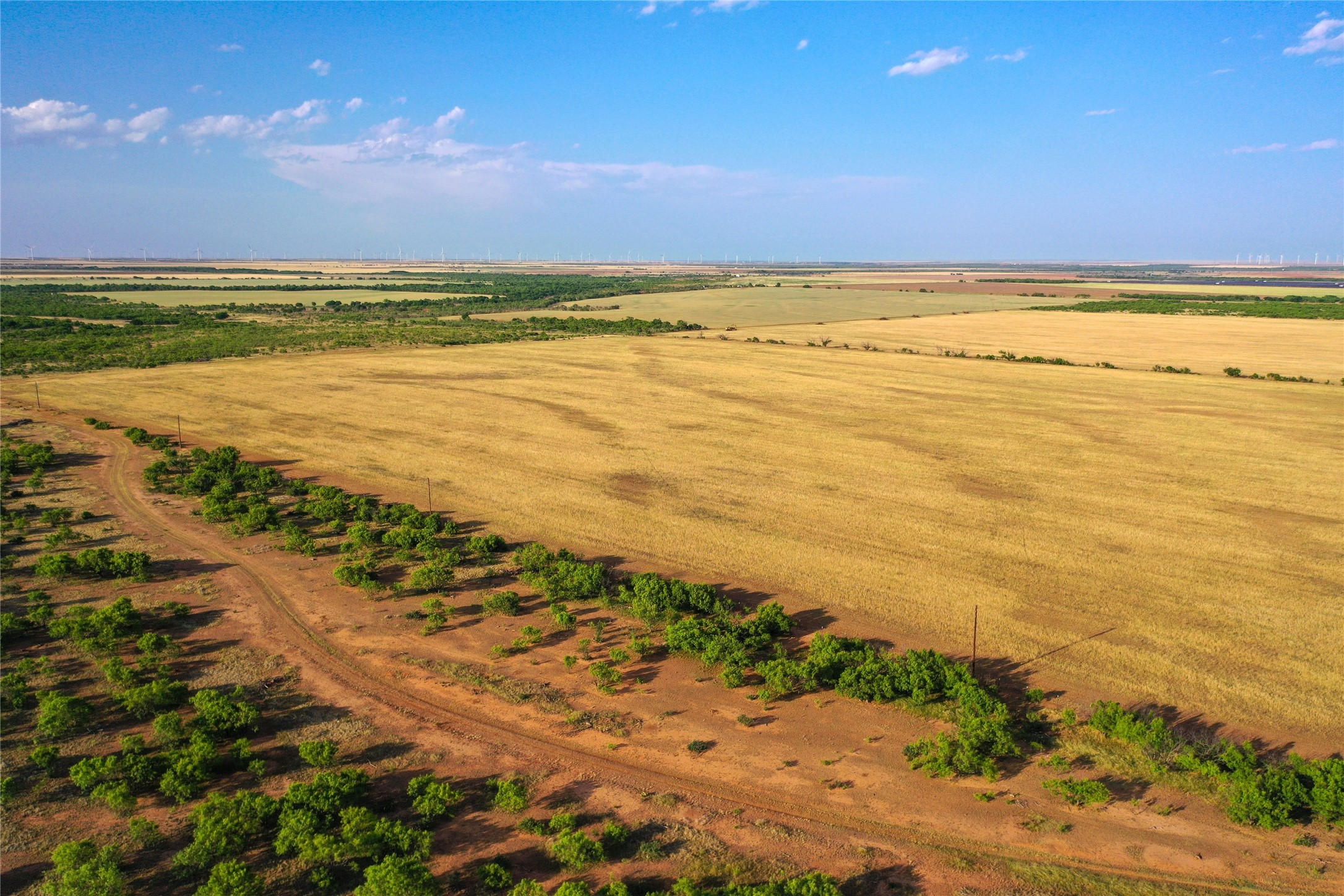 Tbd Cr 235, 227 Haskell TX 79521