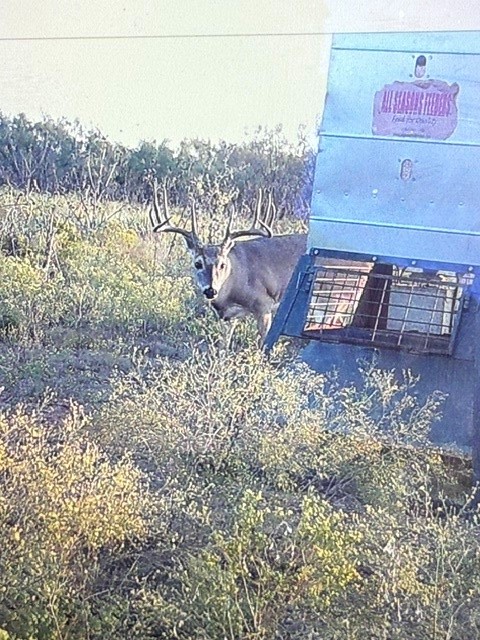 Tbd Cr 235, 227 Haskell TX 79521