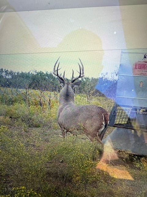 Tbd Cr 235, 227 Haskell TX 79521