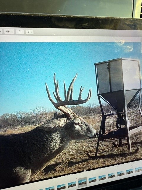 Tbd Cr 235, 227 Haskell TX 79521
