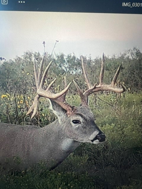 Tbd Cr 235, 227 Haskell TX 79521