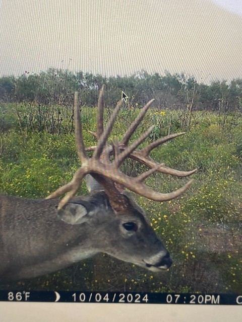 Tbd Cr 235, 227 Haskell TX 79521