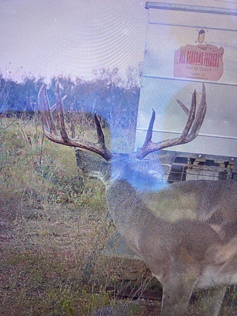 Tbd Cr 235, 227 Haskell TX 79521