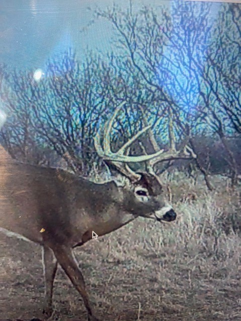 Tbd Cr 235, 227 Haskell TX 79521