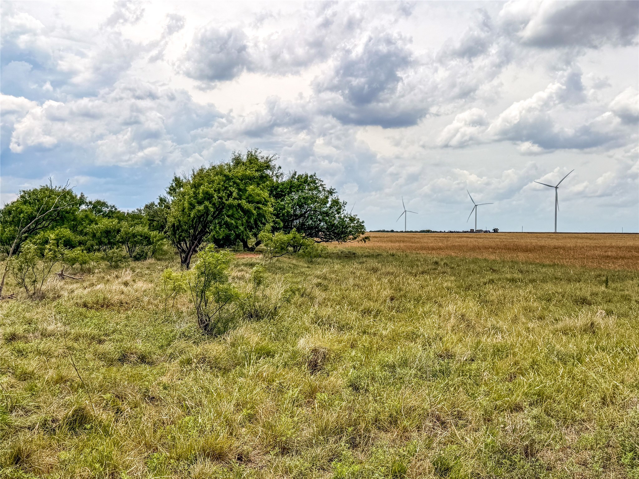 Tbd Cr 235, 227 Haskell TX 79521