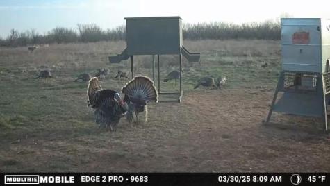 TBD Cr 235, 227 Haskell TX 79521