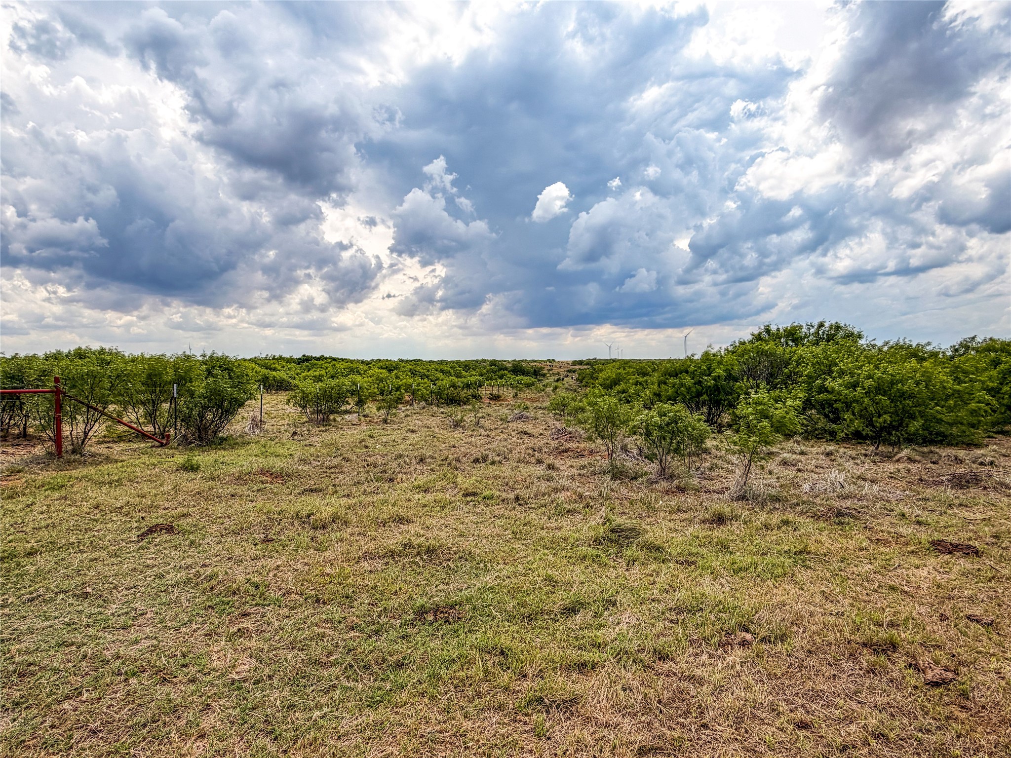 Tbd Cr 235, 227 Haskell TX 79521