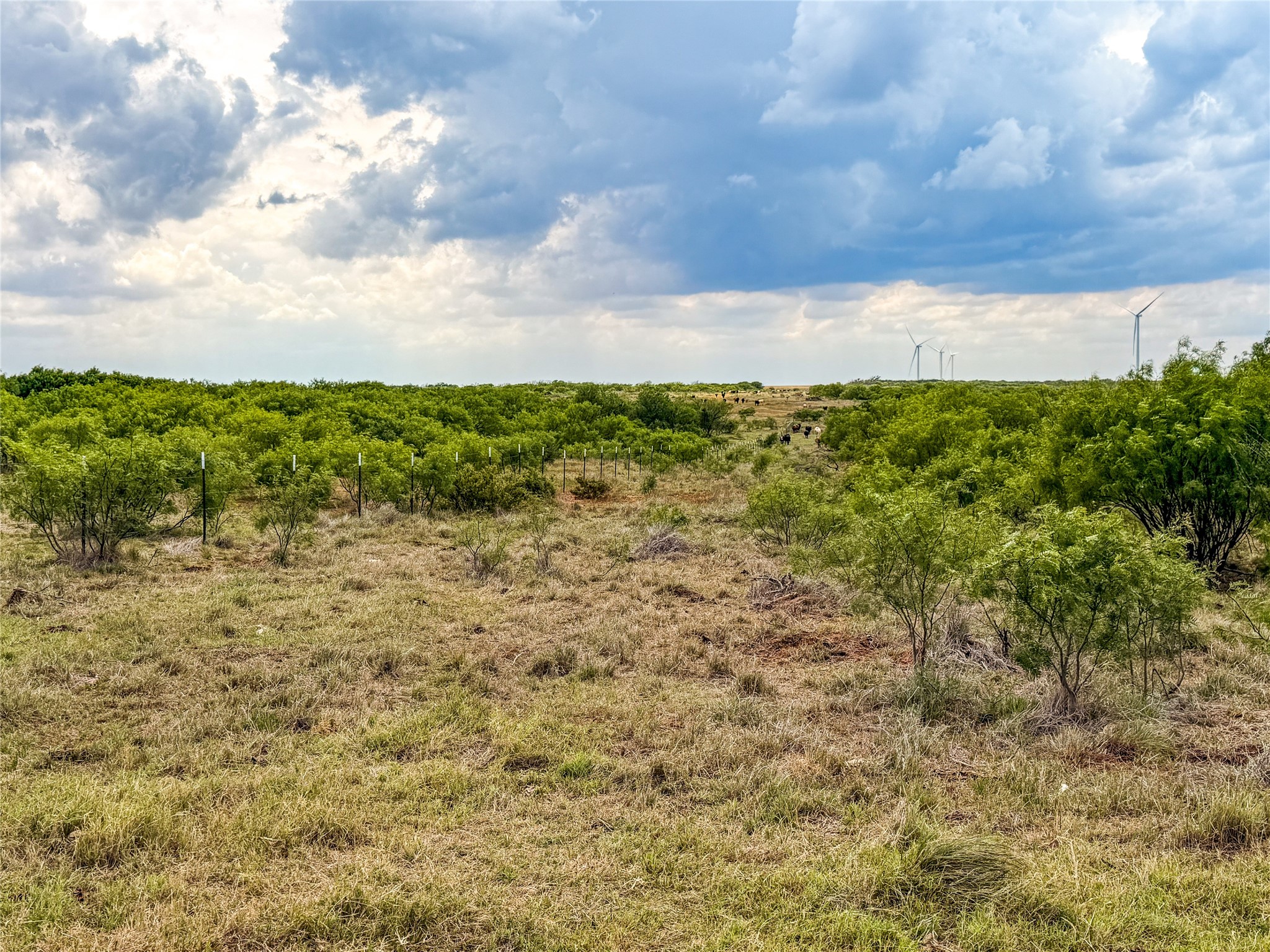 Tbd Cr 235, 227 Haskell TX 79521