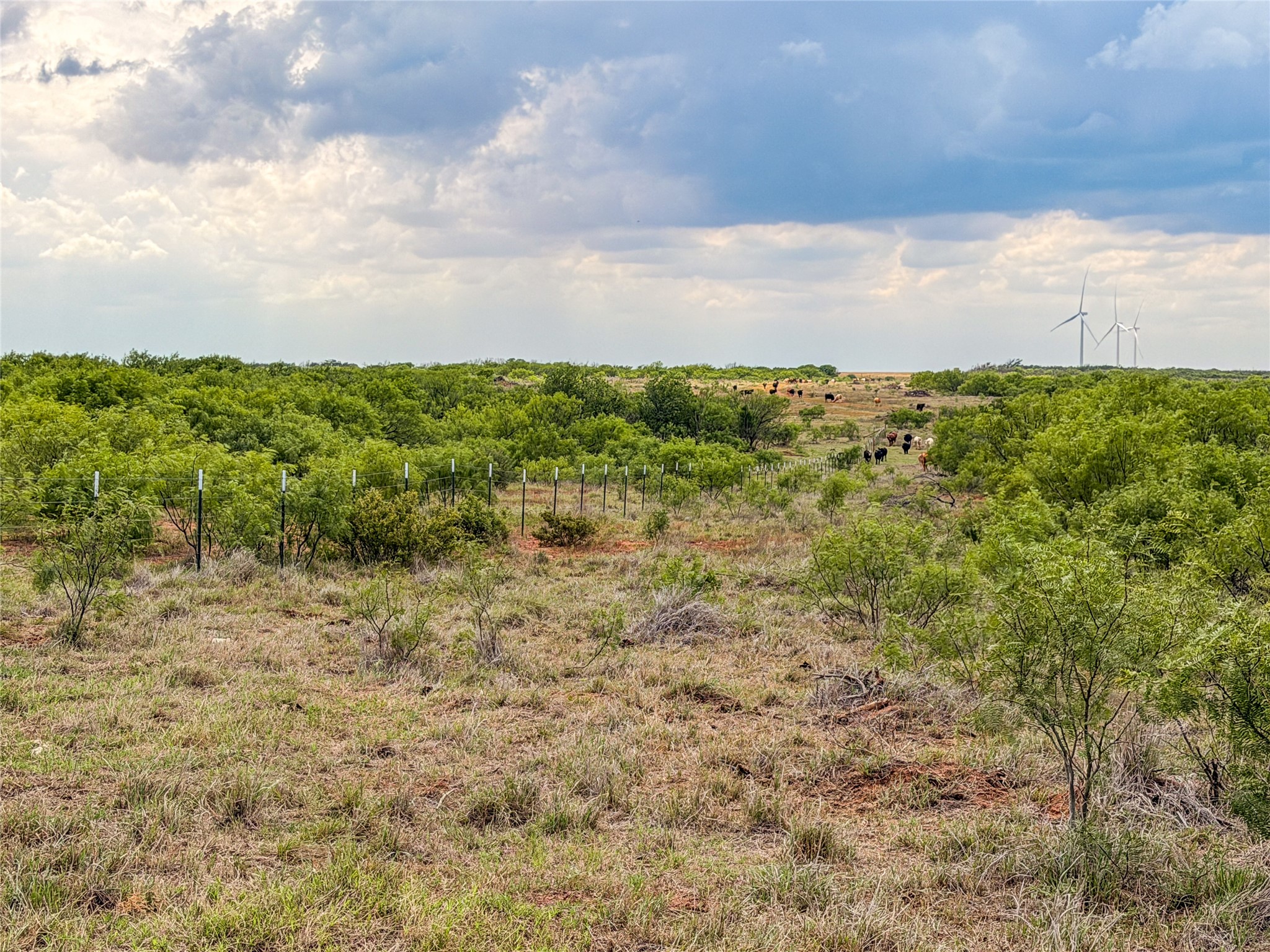 Tbd Cr 235, 227 Haskell TX 79521