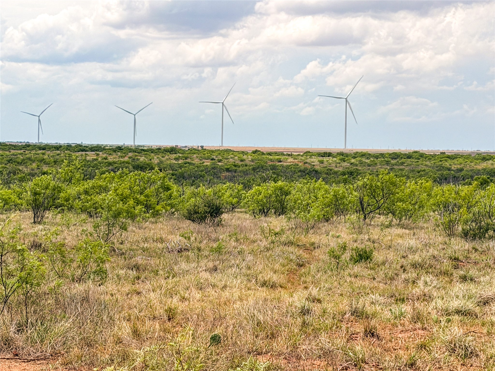 Tbd Cr 235, 227 Haskell TX 79521
