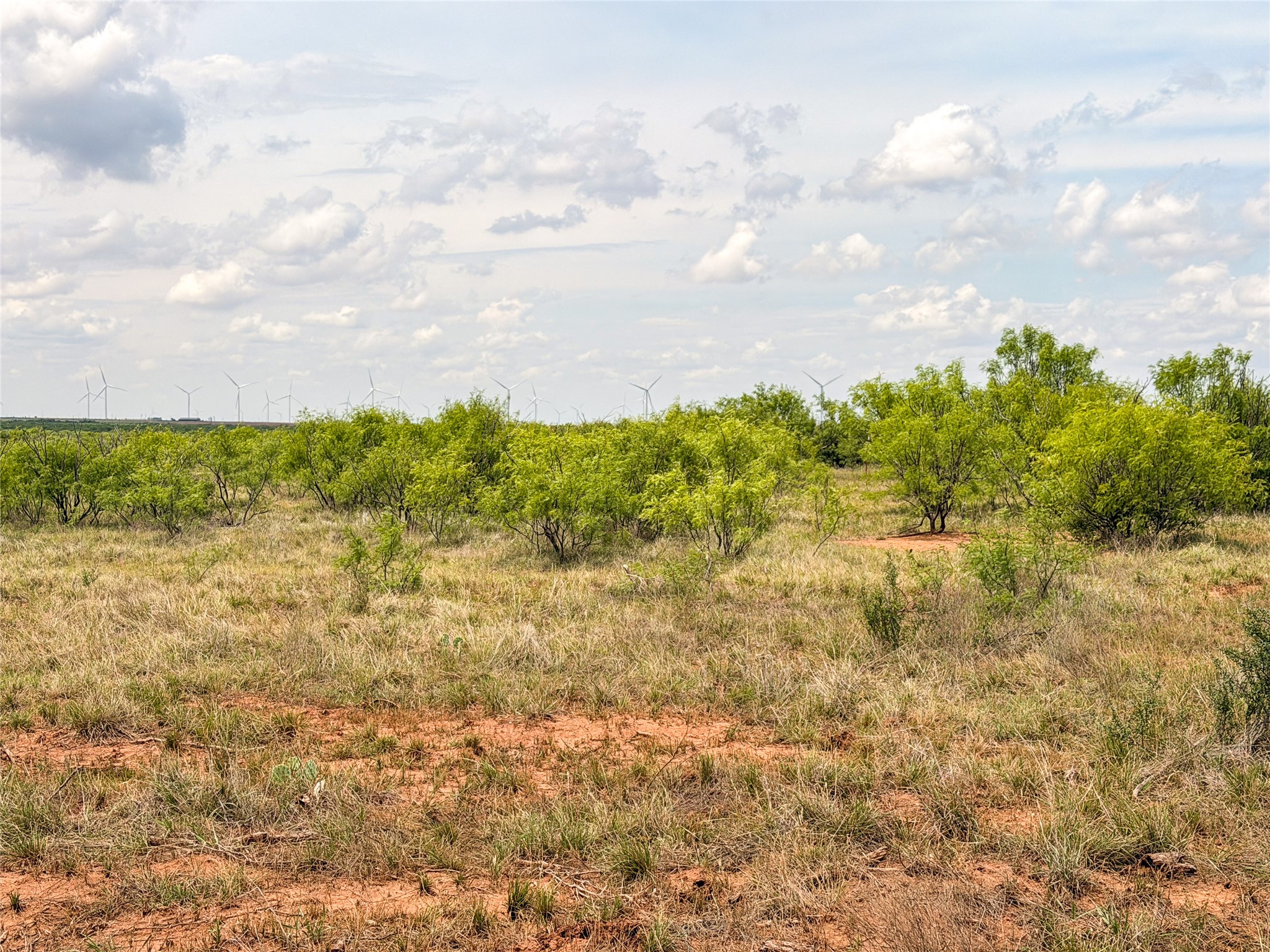 Tbd Cr 235, 227 Haskell TX 79521