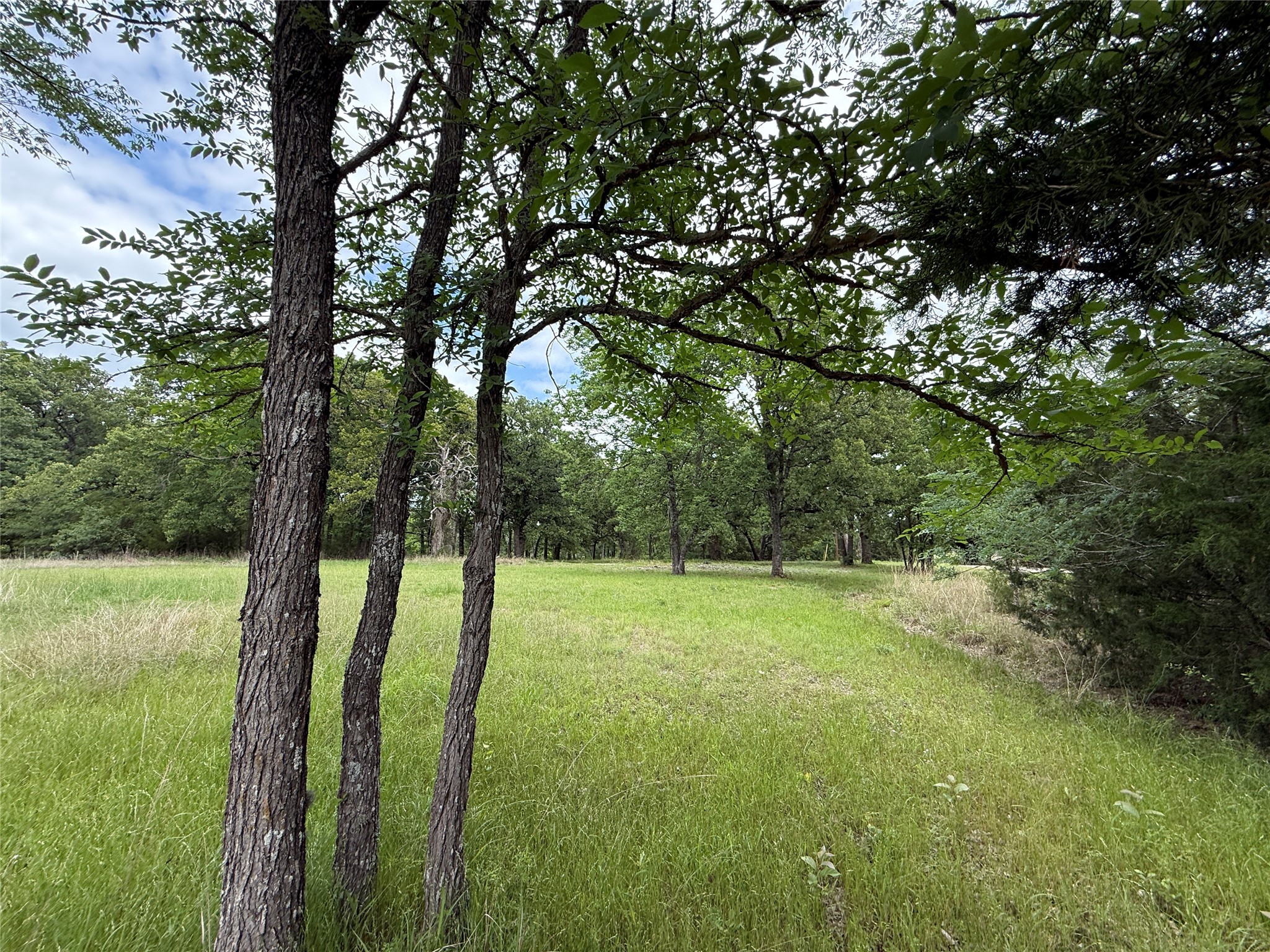 Lot 112 April Cove Streetman TX 75859