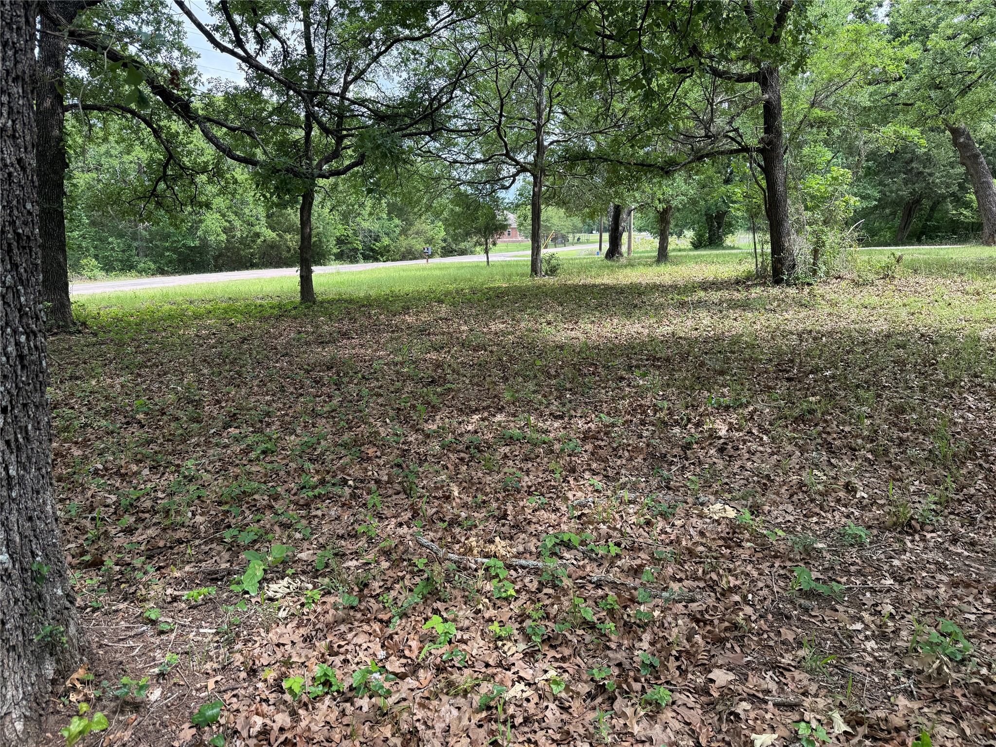 Lot 112 April Cove Streetman TX 75859