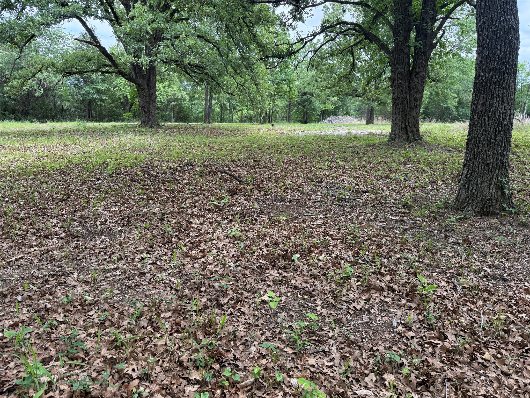Lot 112 April Cove Streetman TX 75859