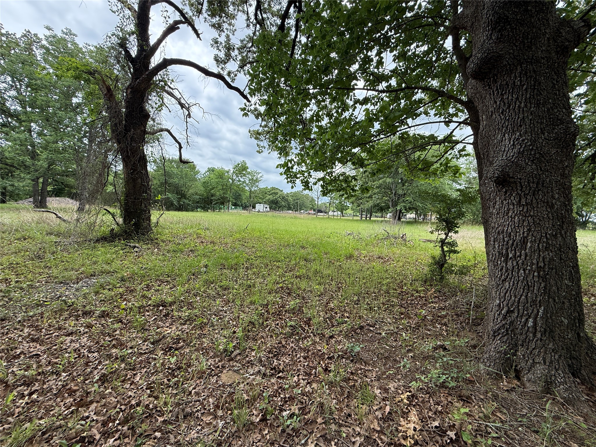 Lot 112 April Cove Streetman TX 75859