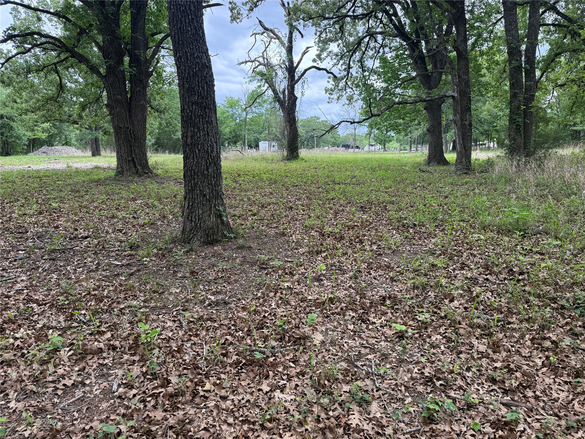 Lot 112 April Cove Streetman TX 75859