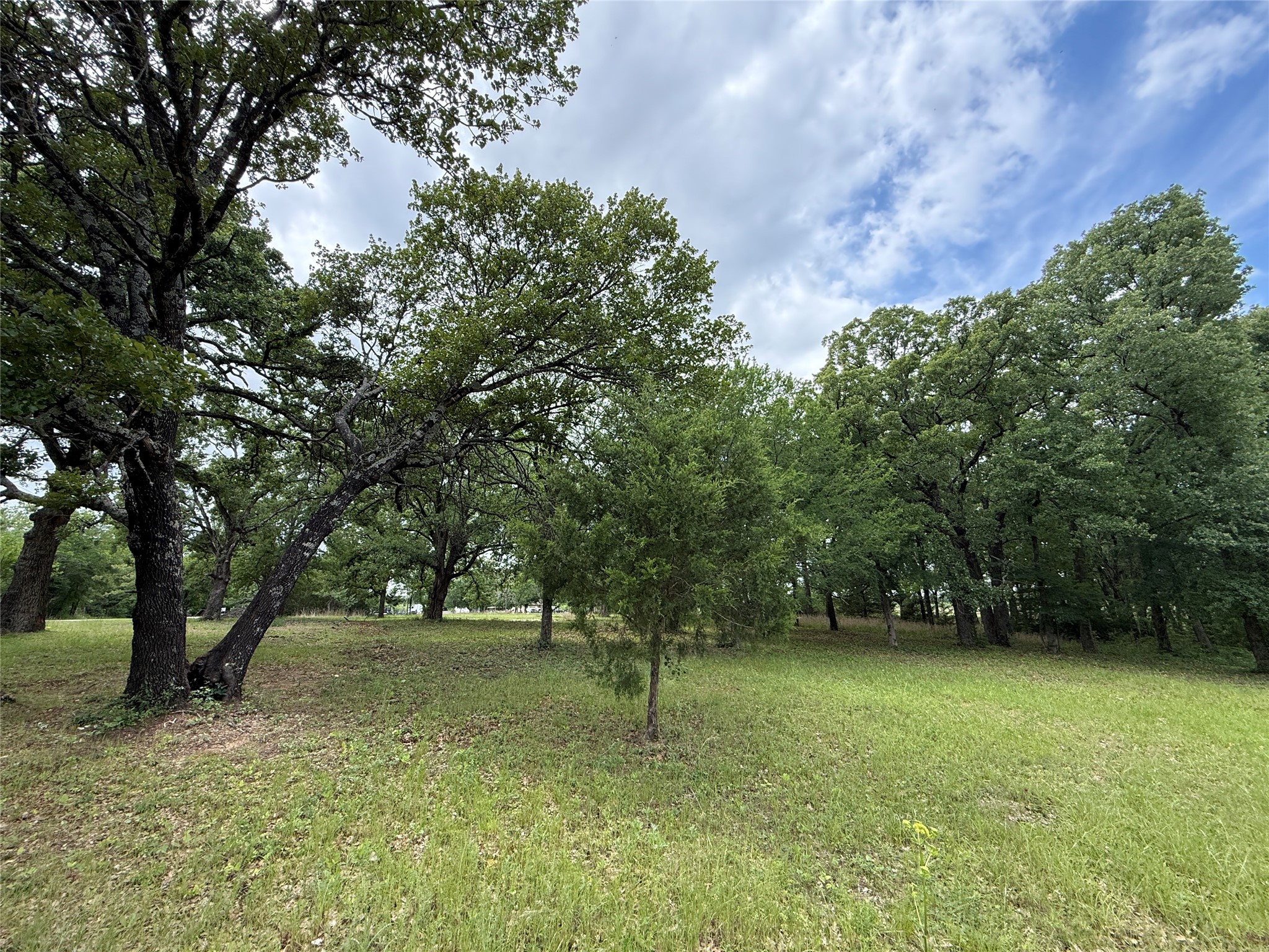 Lot 112 April Cove Streetman TX 75859