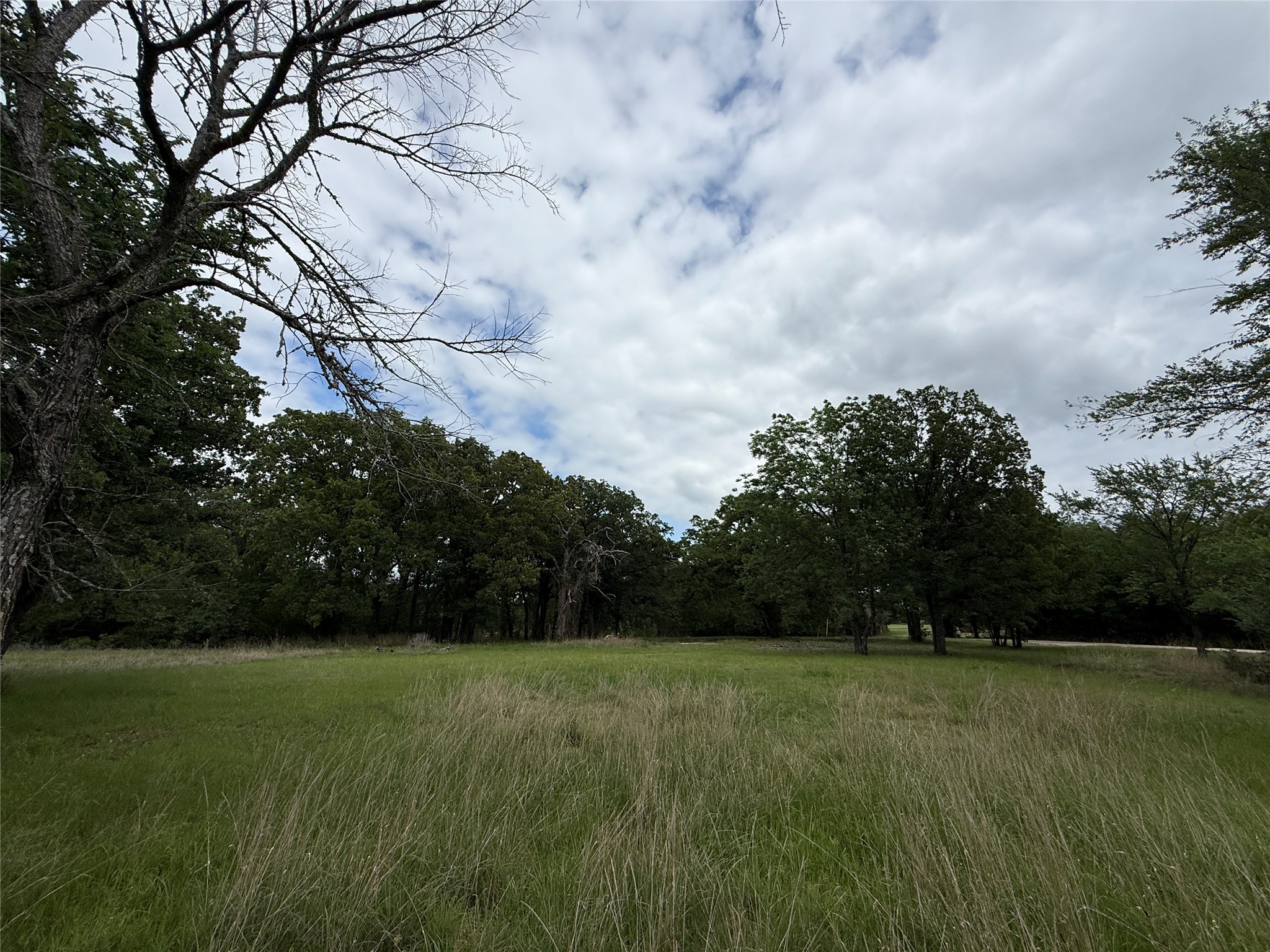 Lot 112 April Cove Streetman TX 75859