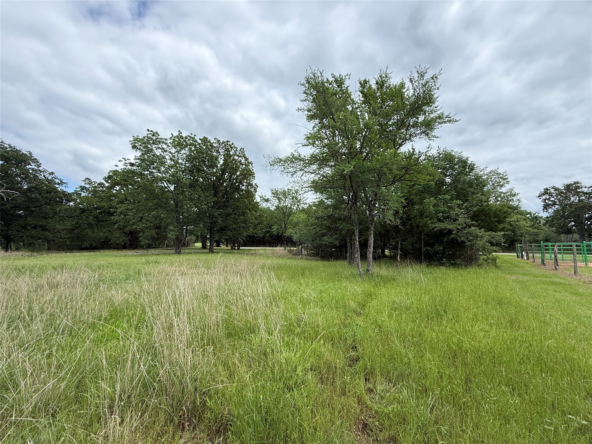 Lot 112 April Cove Streetman TX 75859