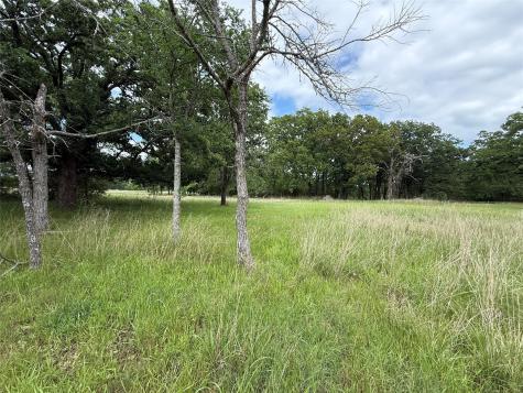 Lot 112 April Cove Streetman TX 75859