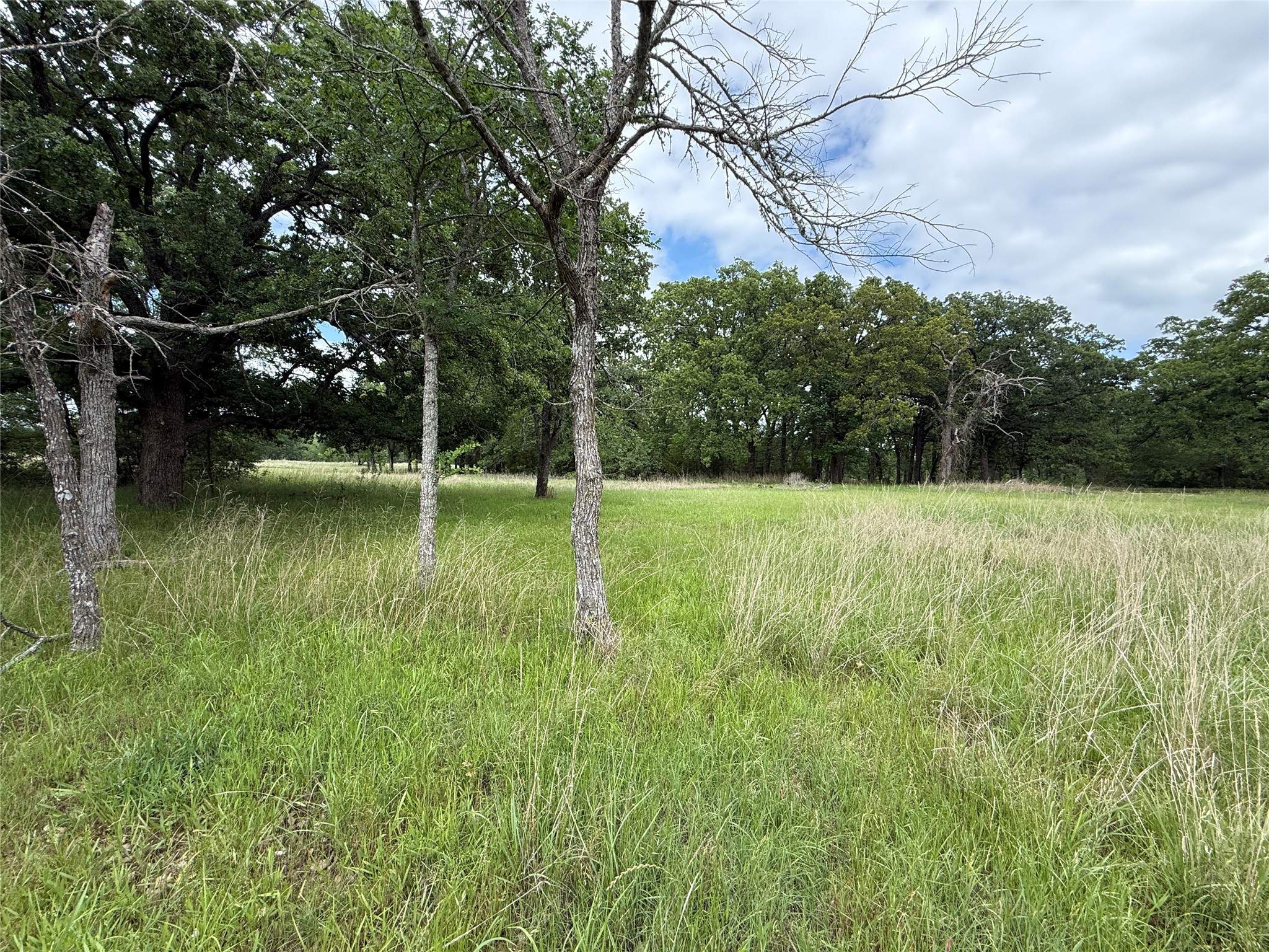 Lot 112 April Cove Streetman TX 75859
