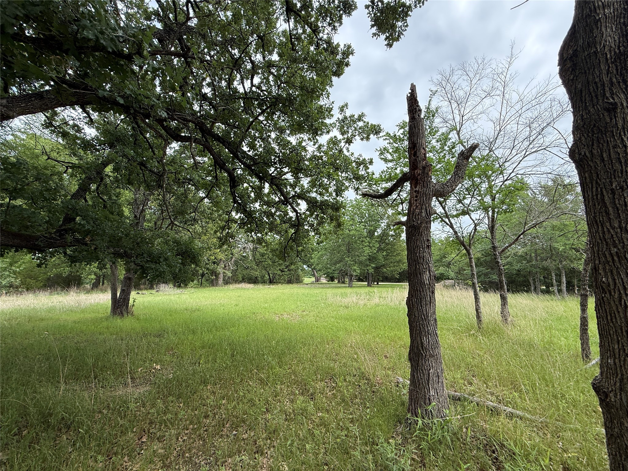 Lot 112 April Cove Streetman TX 75859