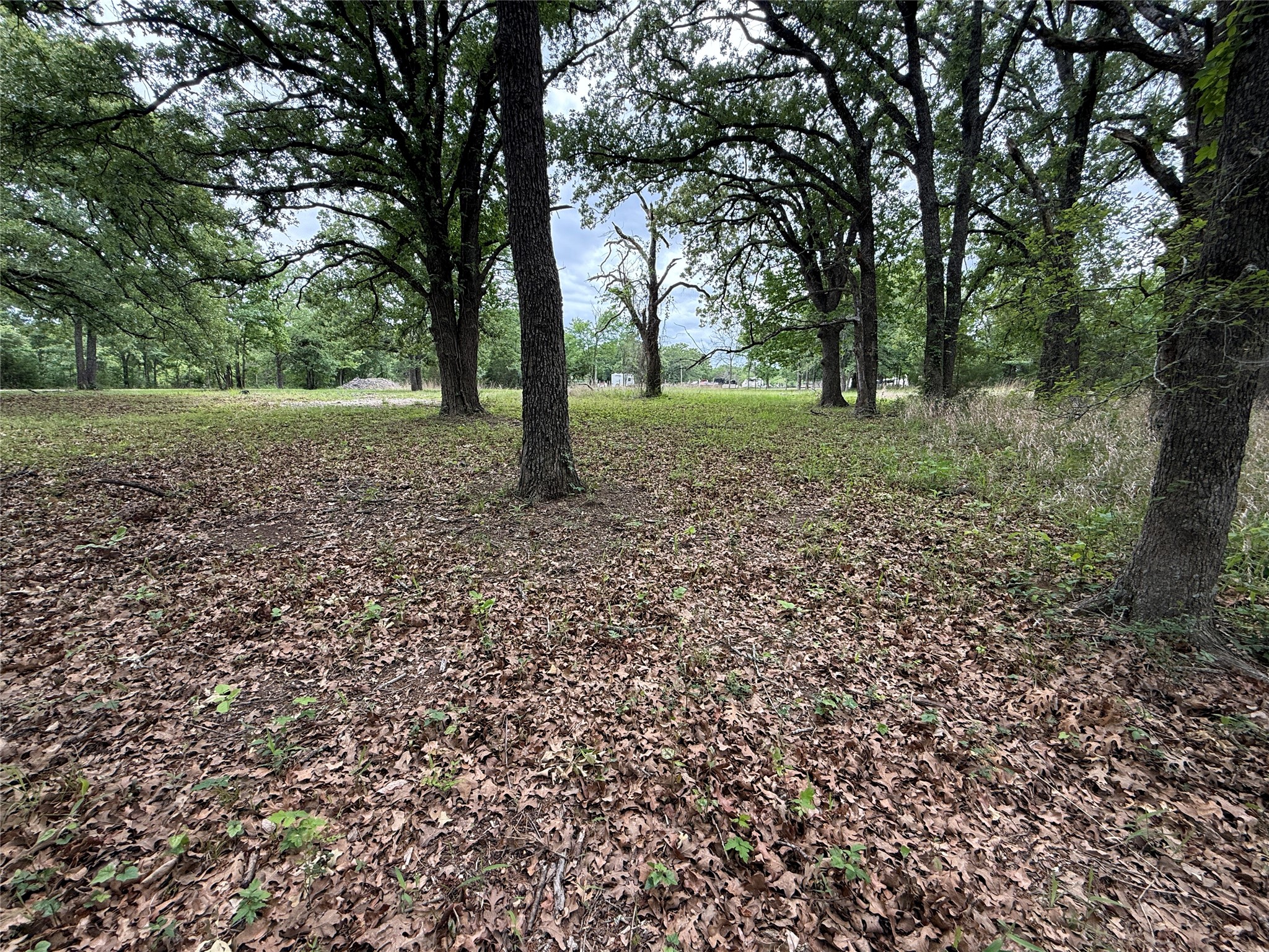 Lot 112 April Cove Streetman TX 75859