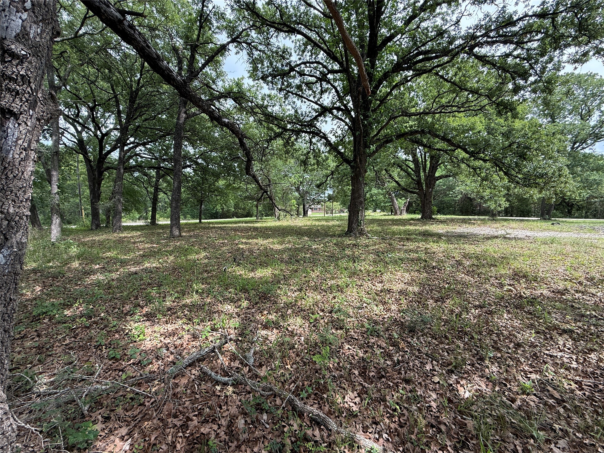 Lot 112 April Cove Streetman TX 75859