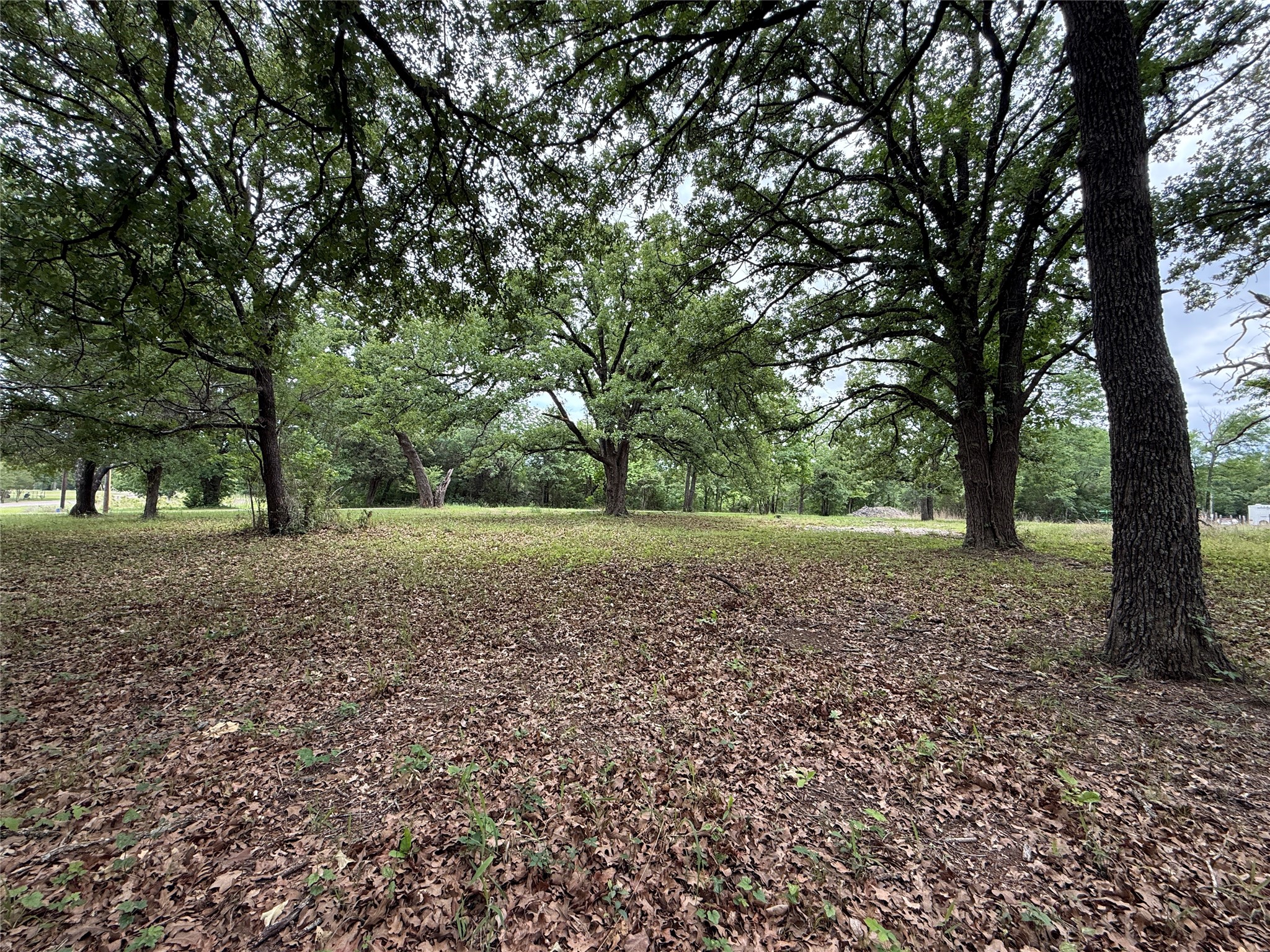 Lot 112 April Cove Streetman TX 75859