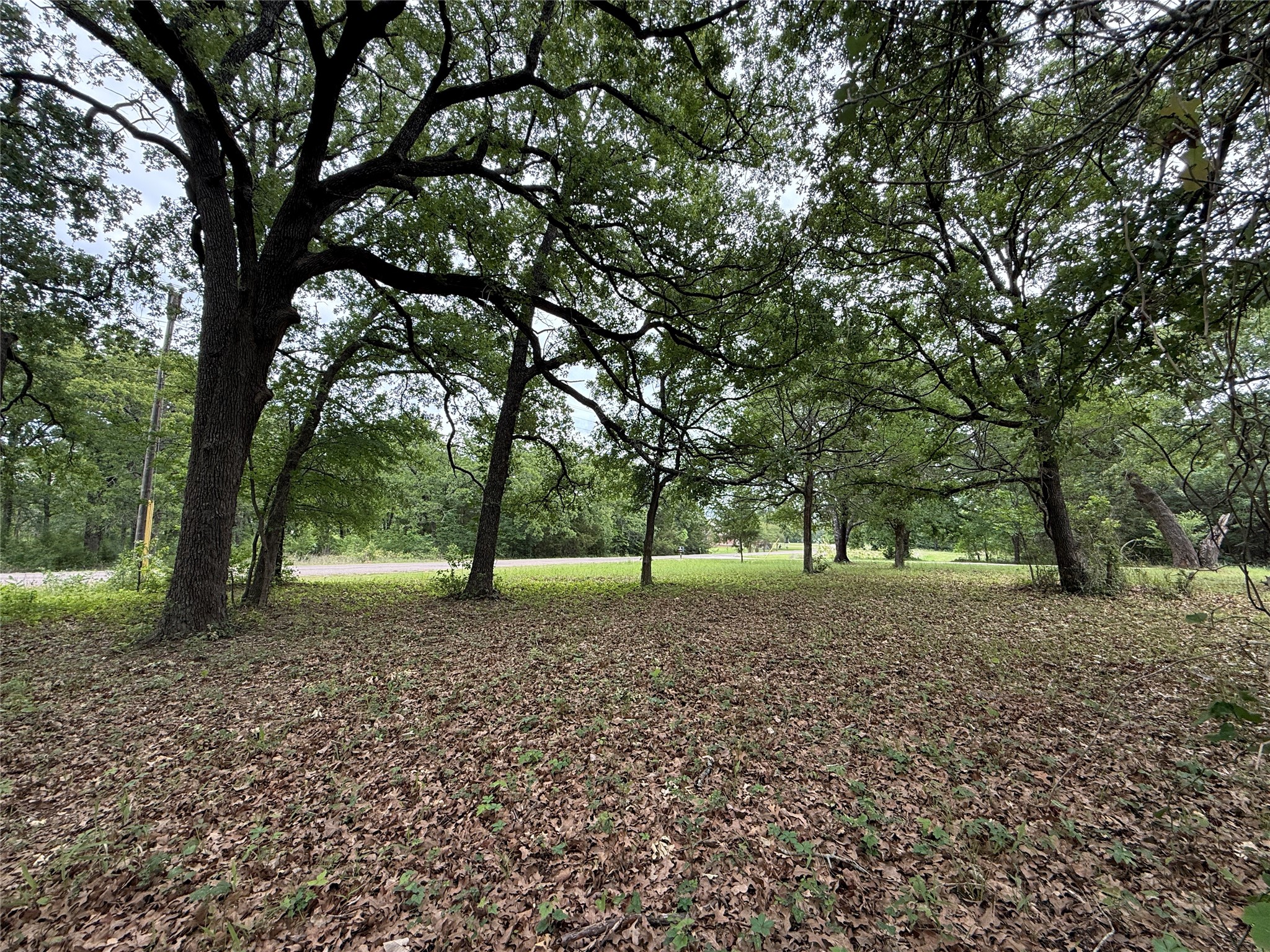 Lot 112 April Cove Streetman TX 75859