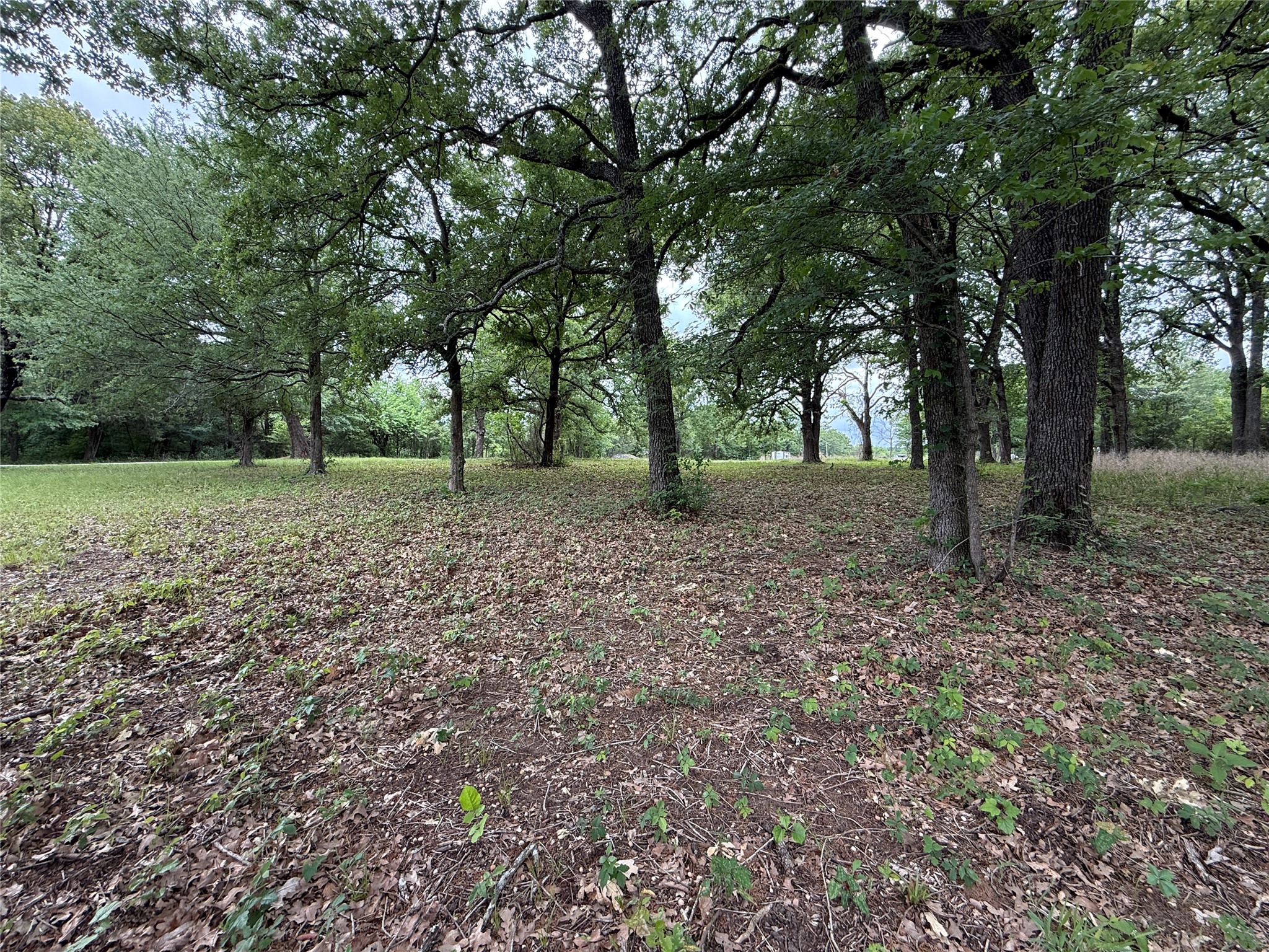 Lot 112 April Cove Streetman TX 75859