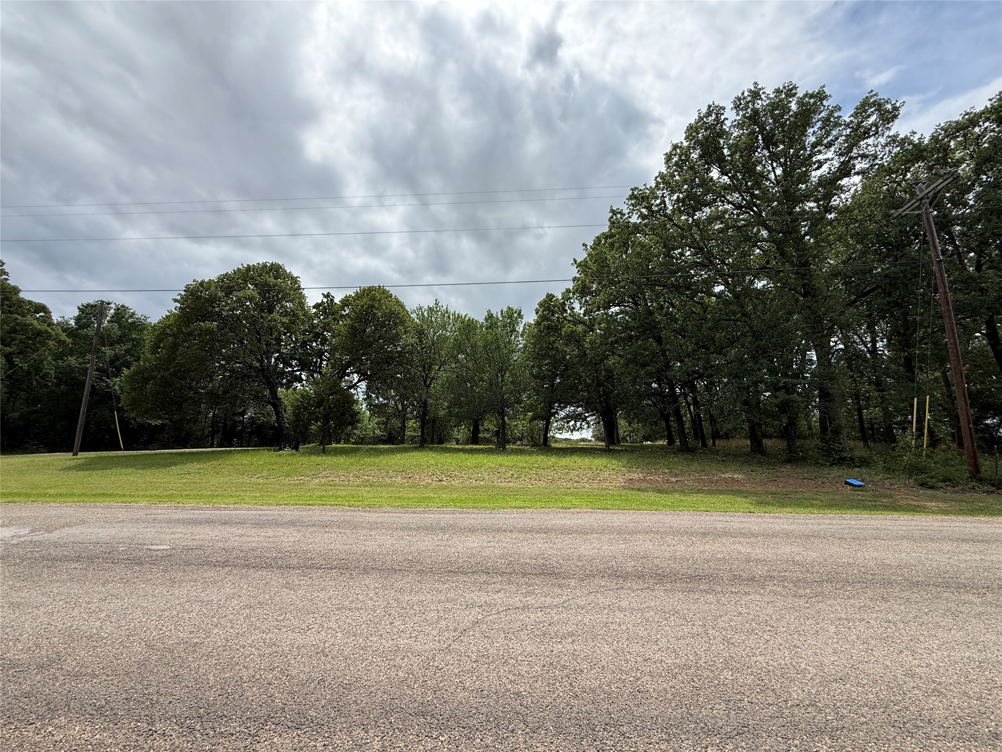 Lot 112 April Cove Streetman TX 75859