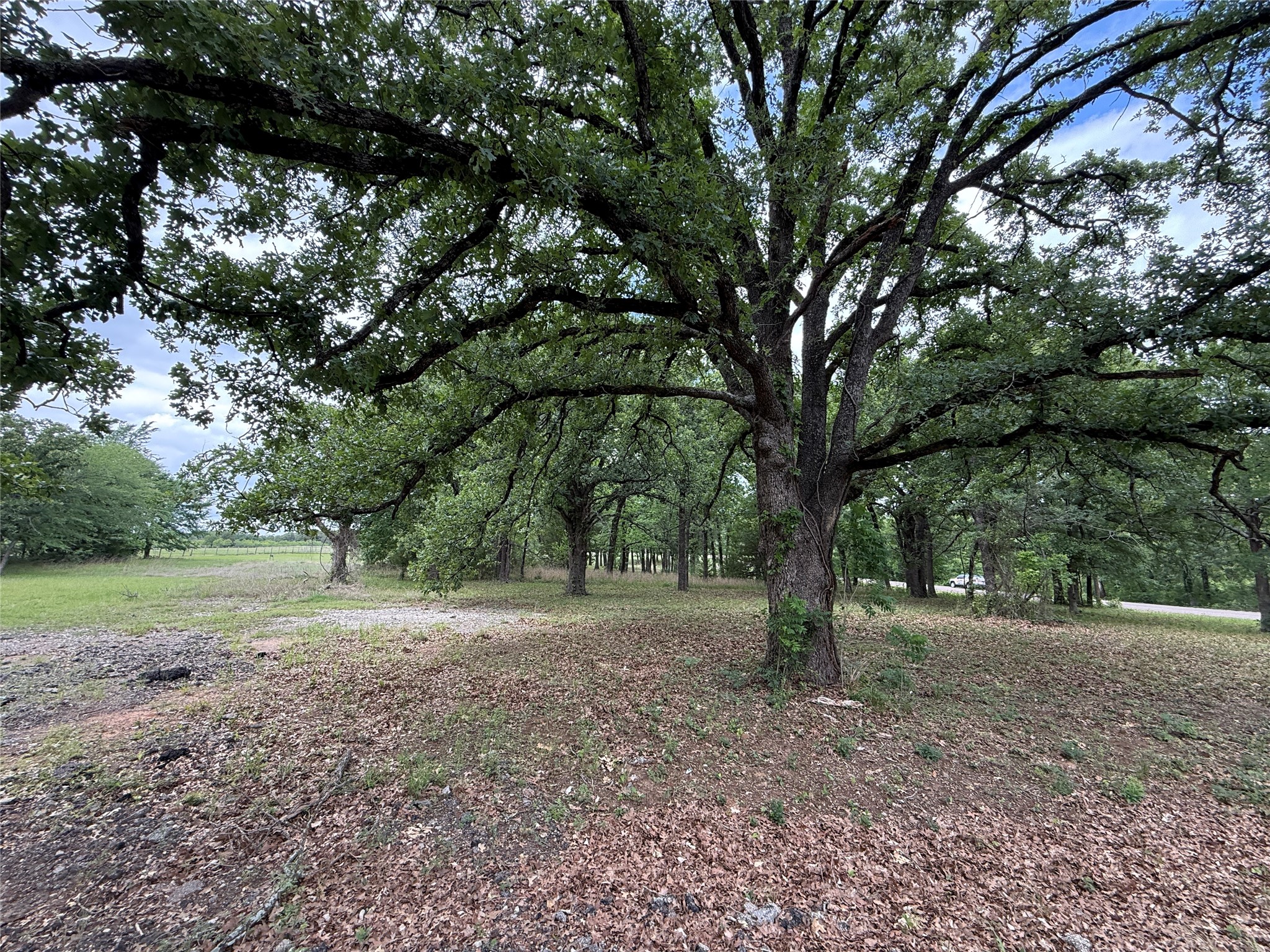 Lot 112 April Cove Streetman TX 75859