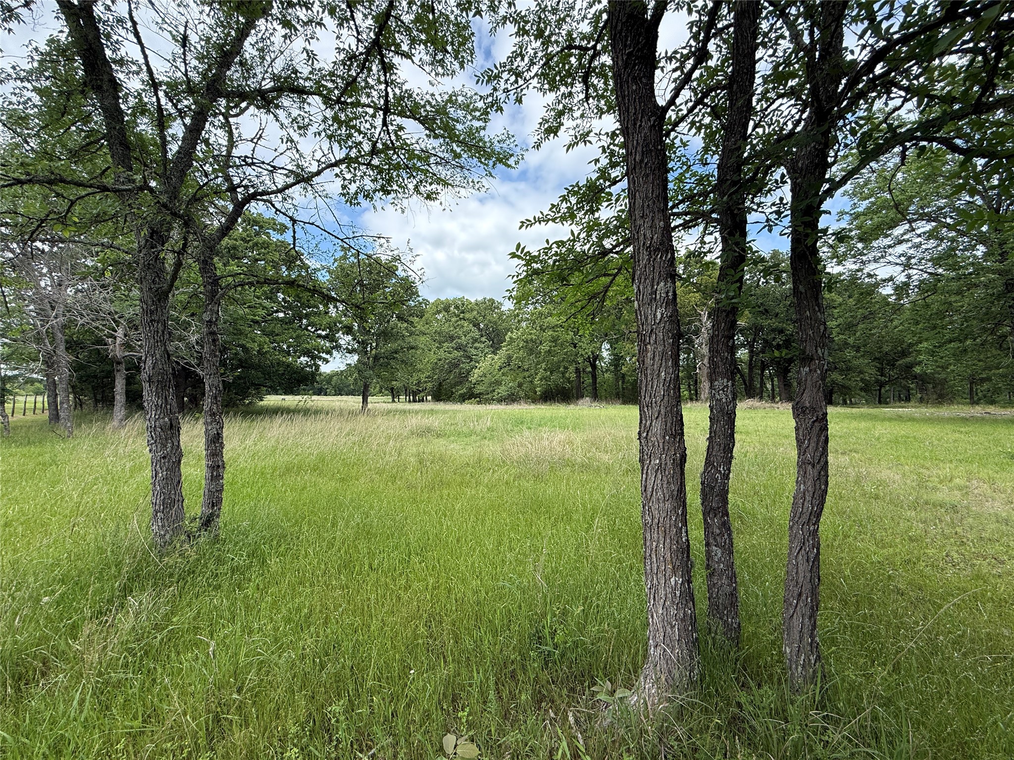 Lot 112 April Cove Streetman TX 75859