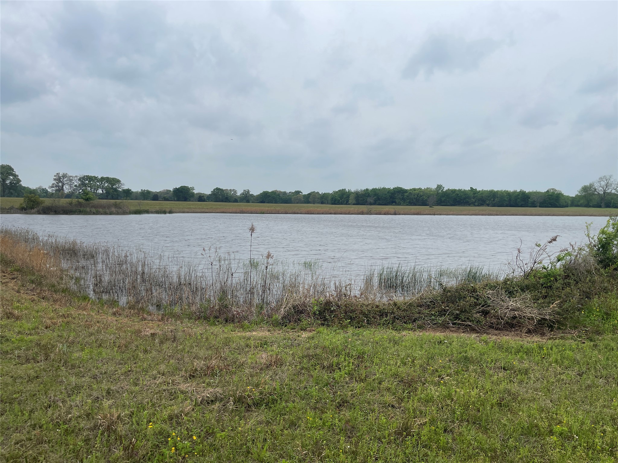 Tbd Vzcr 4702 Ben Wheeler TX 75754