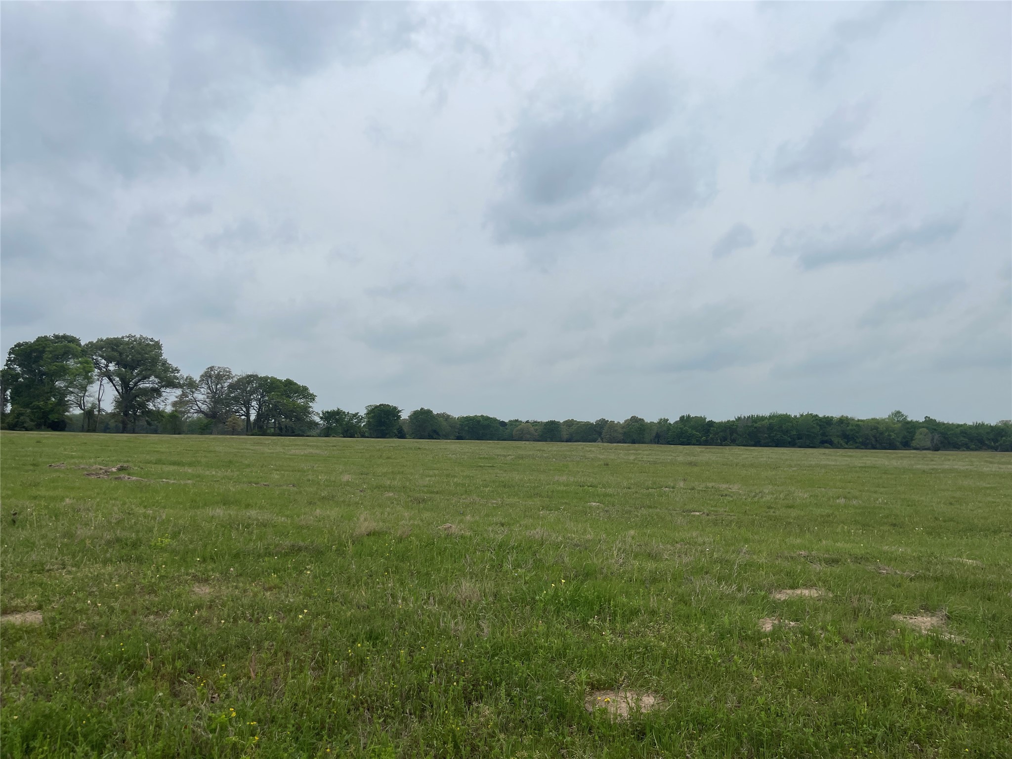 Tbd Vzcr 4702 Ben Wheeler TX 75754