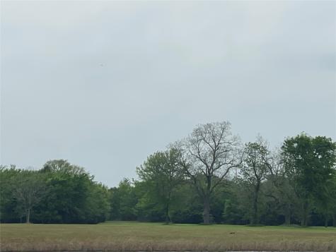 Tbd Vzcr 4702 Ben Wheeler TX 75754