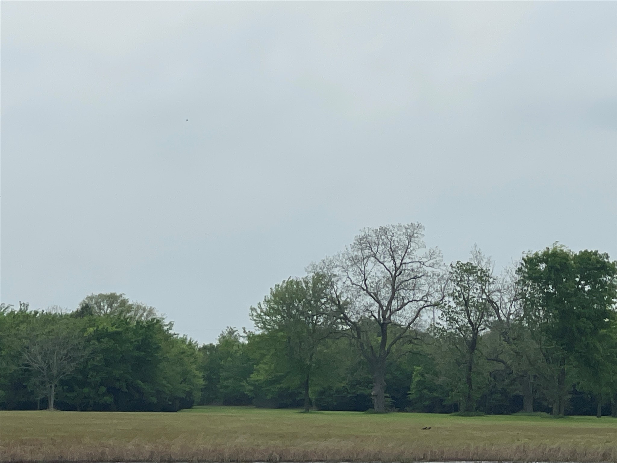 Tbd Vzcr 4702 Ben Wheeler TX 75754