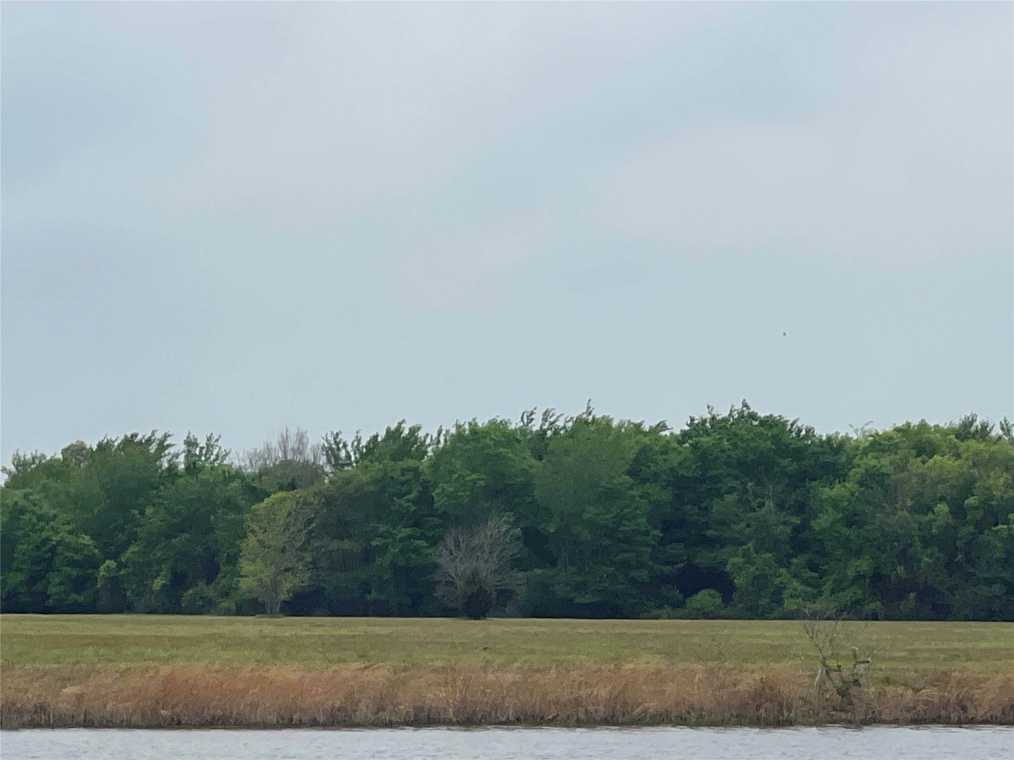 Tbd Vzcr 4702 Ben Wheeler TX 75754