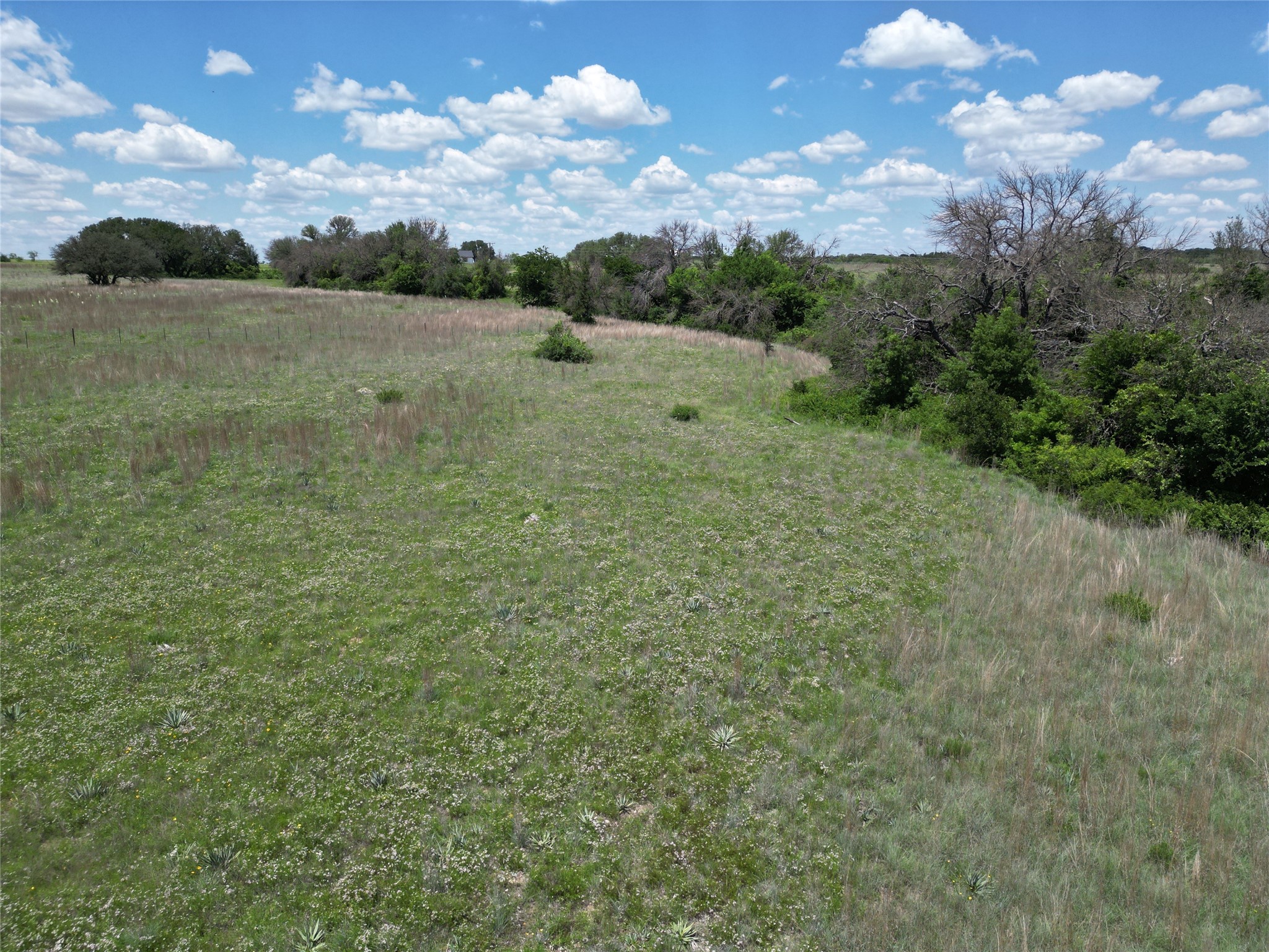 523 Ava Grace Lane Dublin TX 76446
