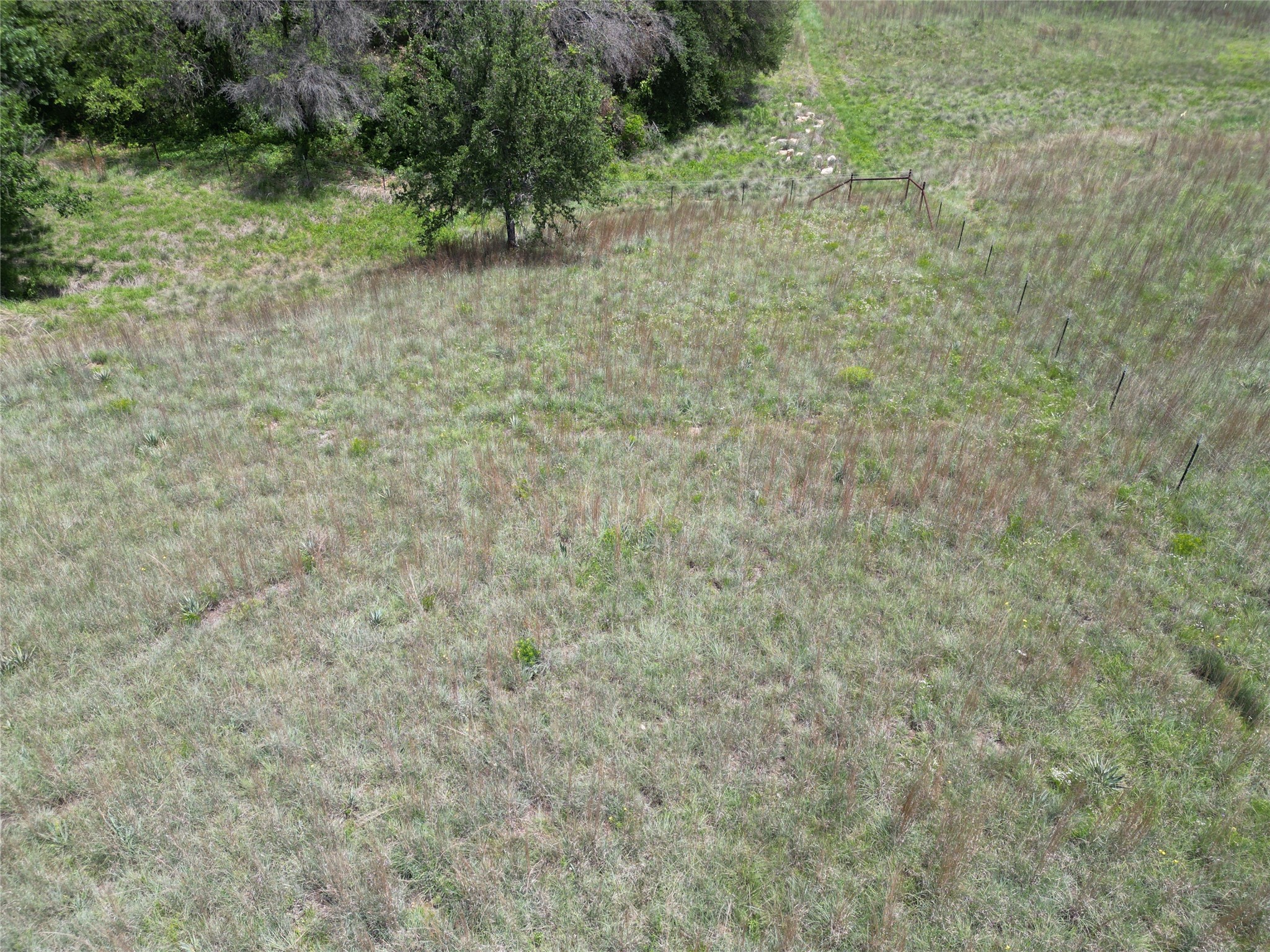 523 Ava Grace Lane Dublin TX 76446