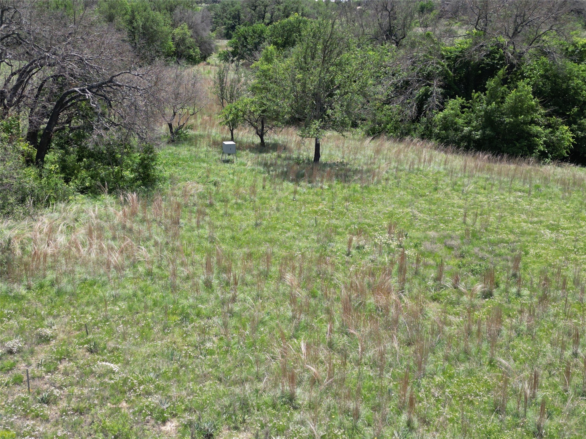 523 Ava Grace Lane Dublin TX 76446