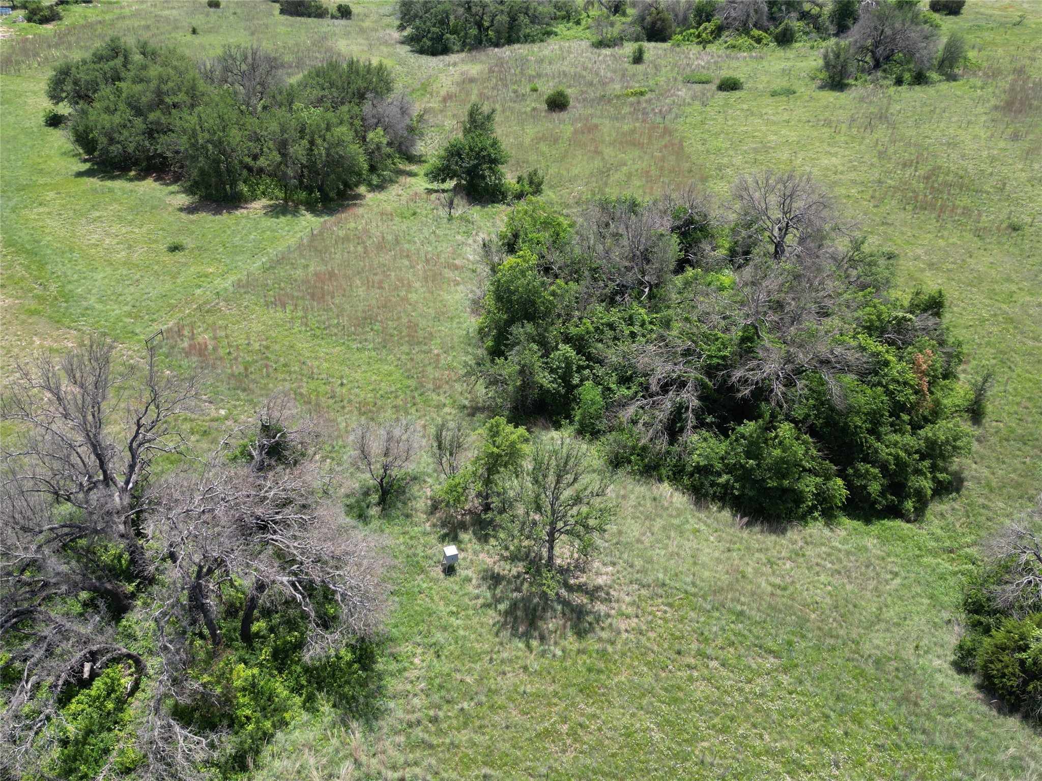 523 Ava Grace Lane Dublin TX 76446