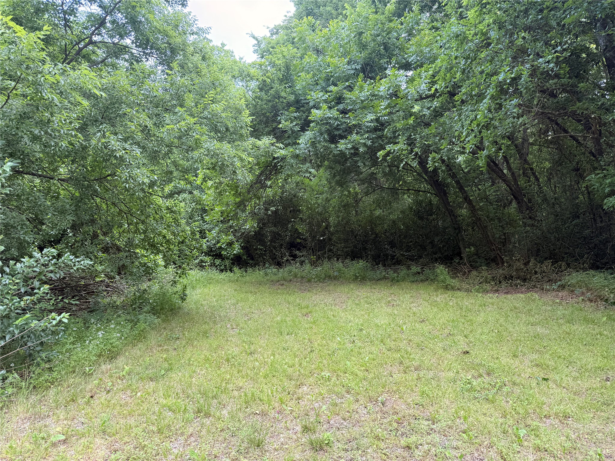 113 Davis Street Farmersville TX 75442