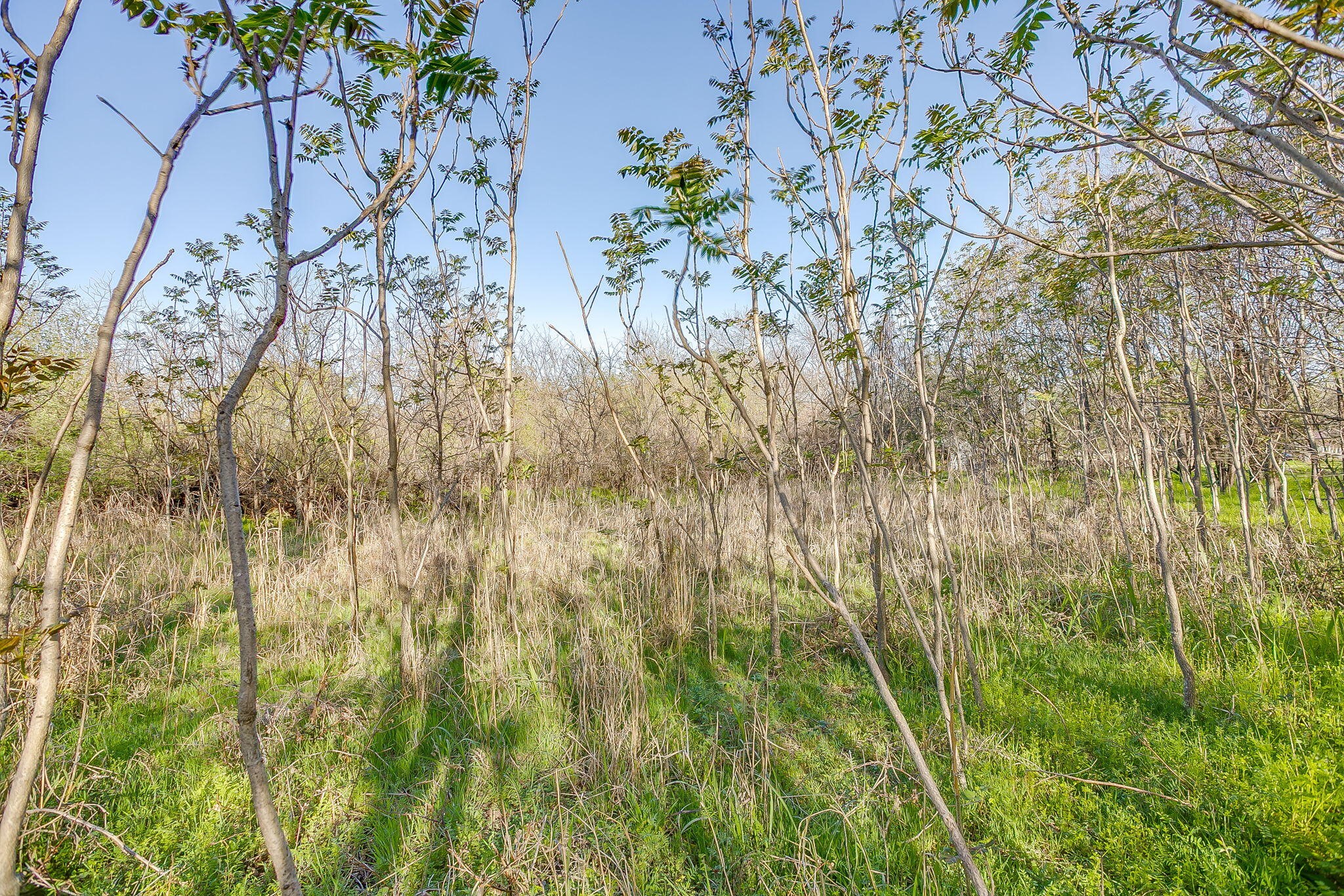 418 E First Street Weatherford TX 76086