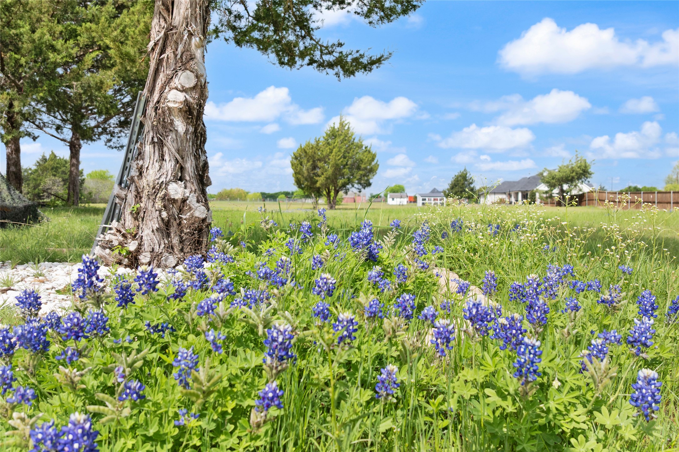 3215 Blackchamp Road Waxahachie TX 76065