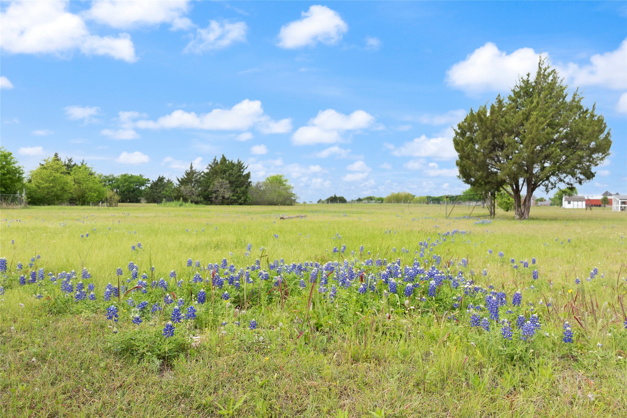 3215 Blackchamp Road Waxahachie TX 76065