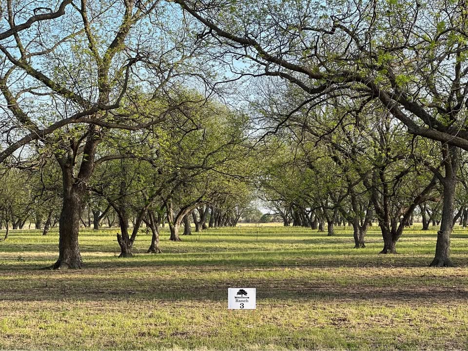 Tbd Cr 461 De Leon TX 76444